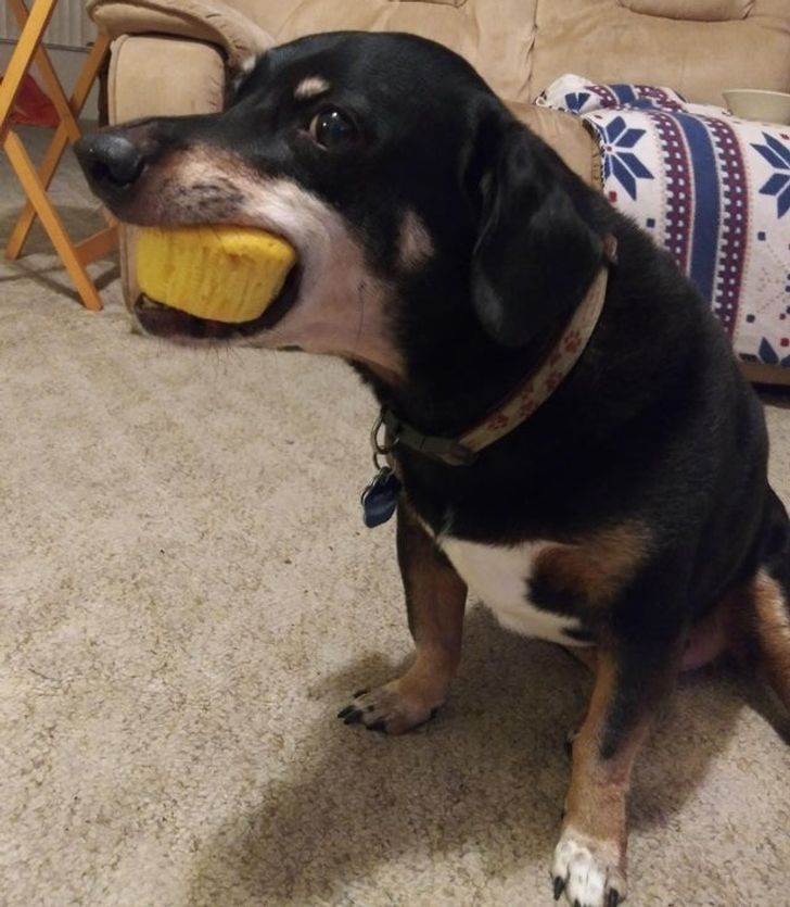 cc76035432899c1ee140ea536a