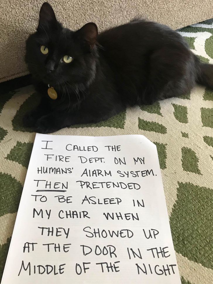 cc7c58538196343a852c70e560 cc7c58538196343a852c70e560