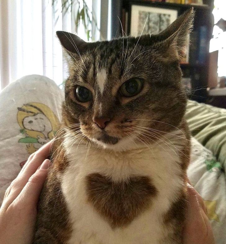 cc7d9258888e43a3618706eb06