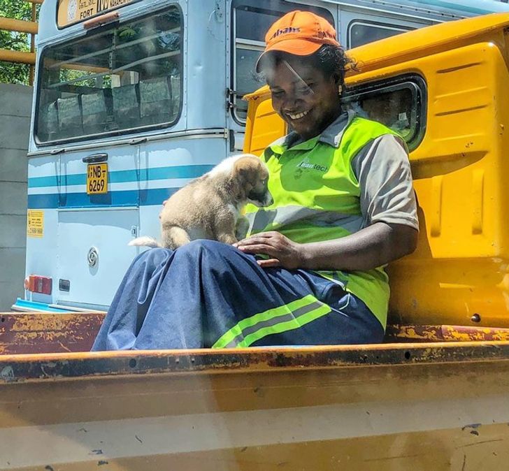 cc81f25dd3a7cc07eebba0effe