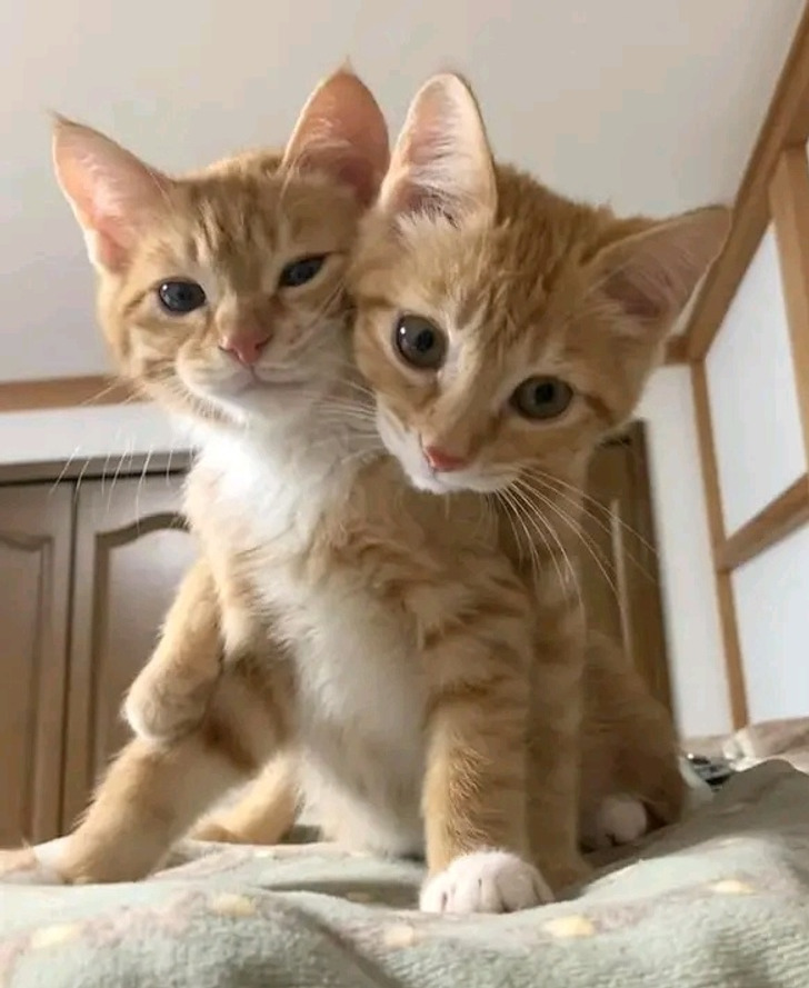 cc963459a09e54b3ad22895dff cc963459a09e54b3ad22895dff