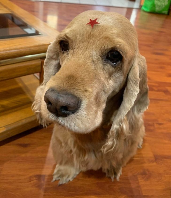 cc9a44588ab1e5b75730b1a63a