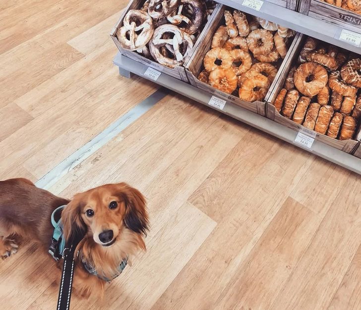 cc9f295d6798f24507a190d3a3