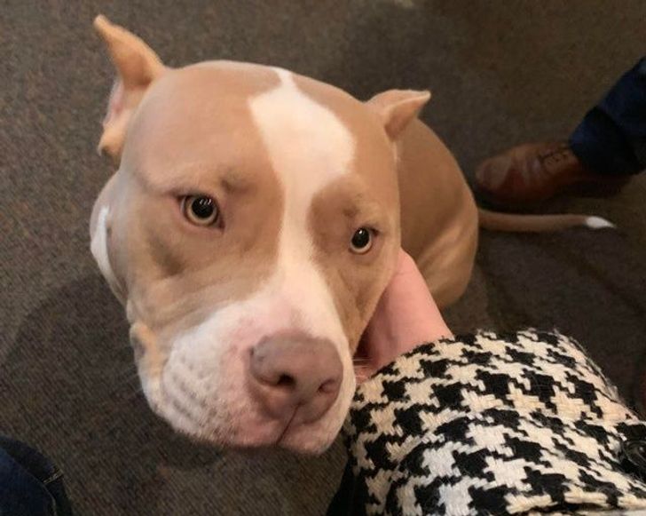 cca03d5cd89fd7bb1bc22a2551 cca03d5cd89fd7bb1bc22a2551