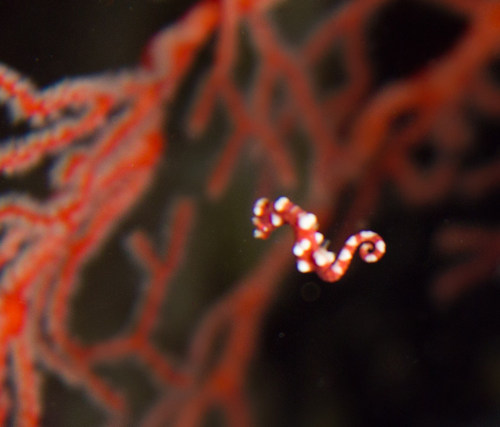 cca50f5ace8345dabcfc26cef9