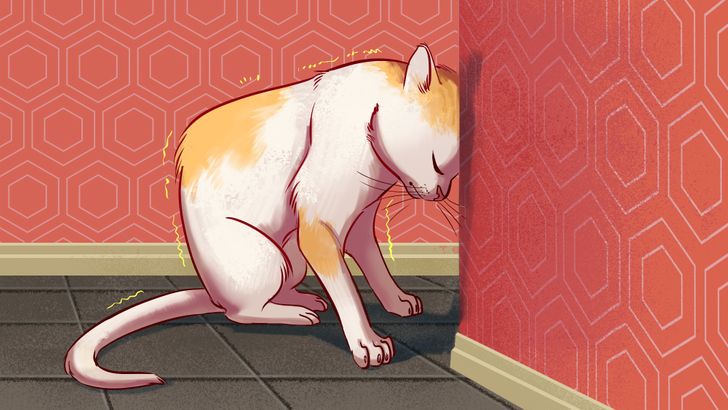 ccb3225bb7ab395b7d3872c90a