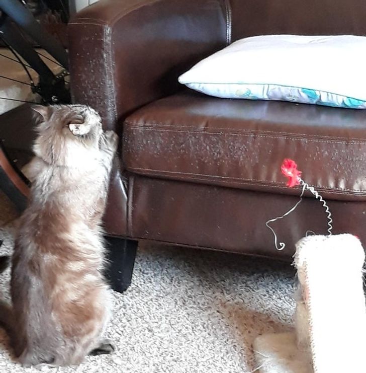 ccb7825f22b9416d2506ef5dbe