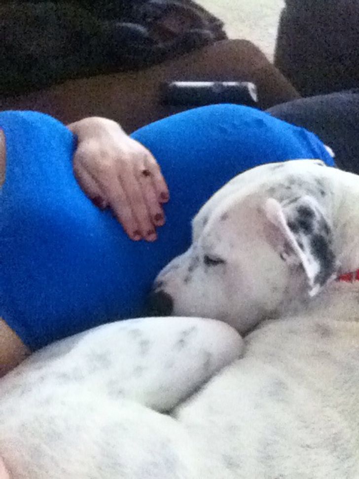 ccc1965406a358110ff9119809