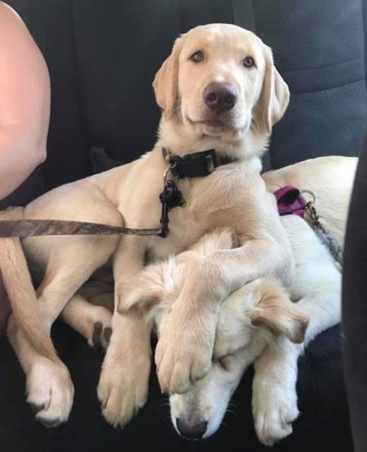 ccc3595ccfb8efd6df5edc8a72