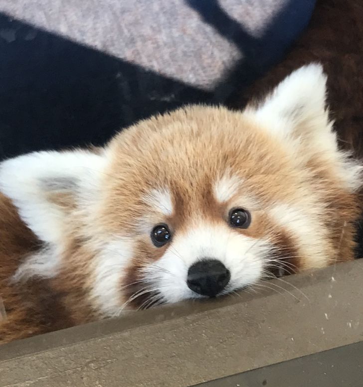 ccc47752858887d5e026f85f32