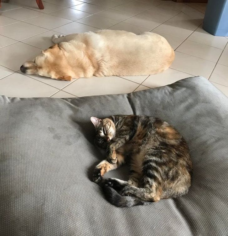 ccc7e95965824dcdc17a6aba7f