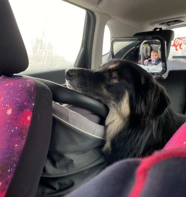 ccc80457c9948ddc6d465632d8