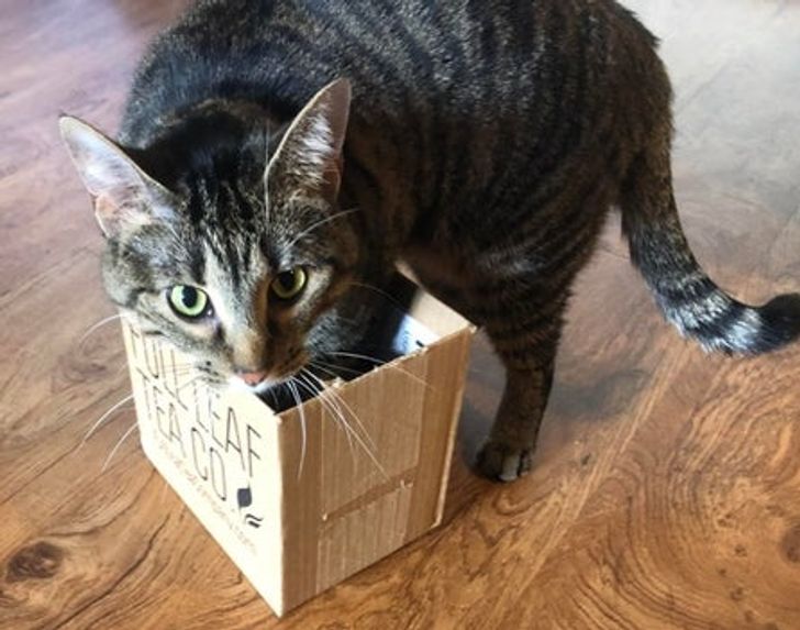 cccbbe574bb2215a3e1a49ed6c