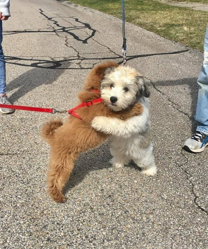 ccd3025bd1852535b9e95db54b