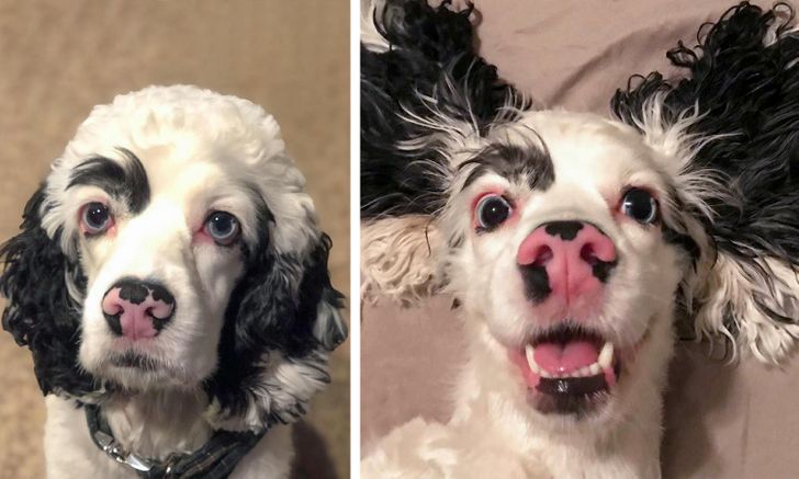 cce1625cefbfa659e675faf8b5