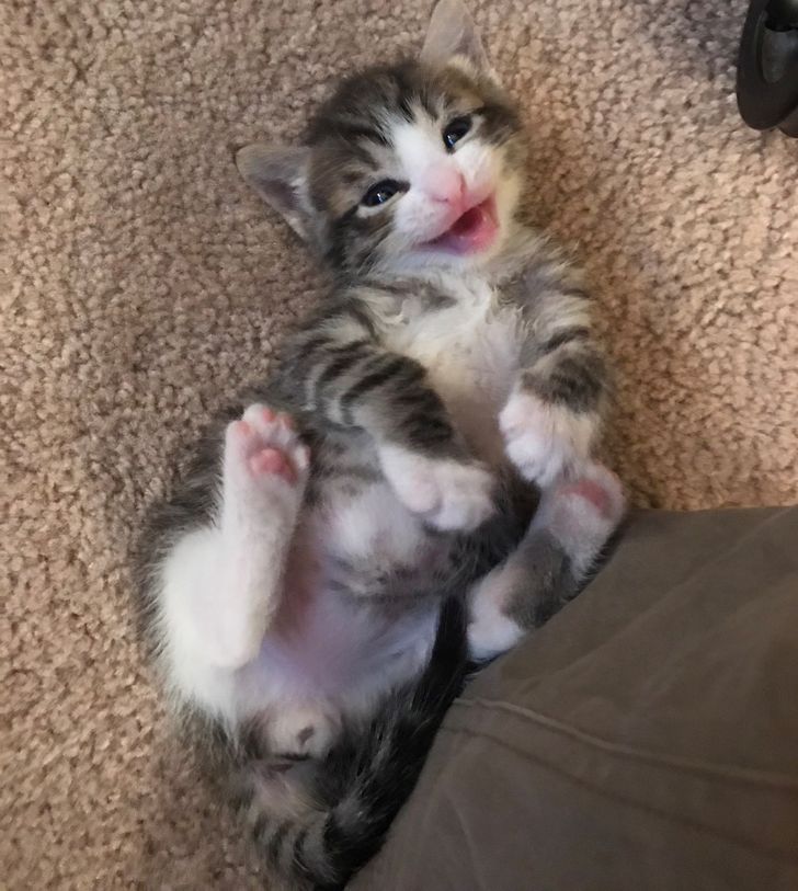 cce7c75420953d23964590892e