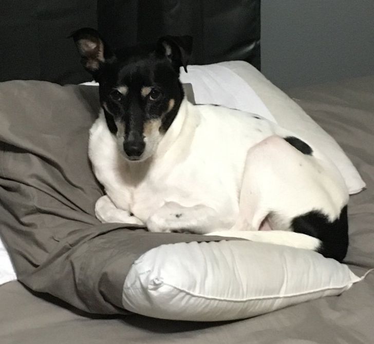 cce9445168bcaf7fdfafd0fc4c