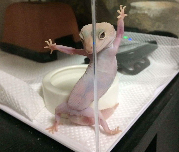 ccfe905d5f8052a3ff1e53202f