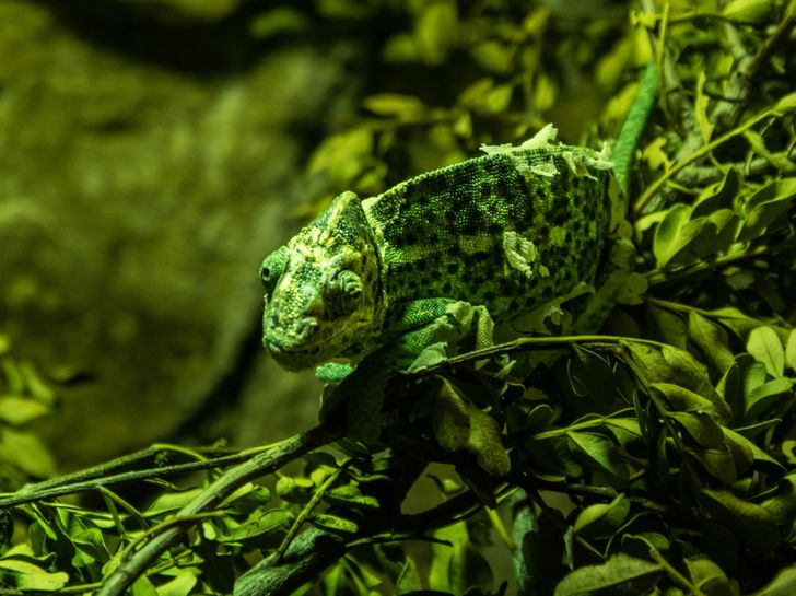 ccff525ba88490a839058a7657