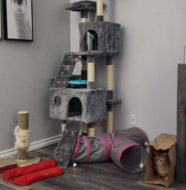 cd019150ec80bf5170a9856277