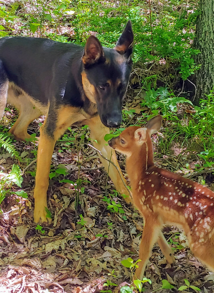 cd024c59578fcf48b15b0423b5