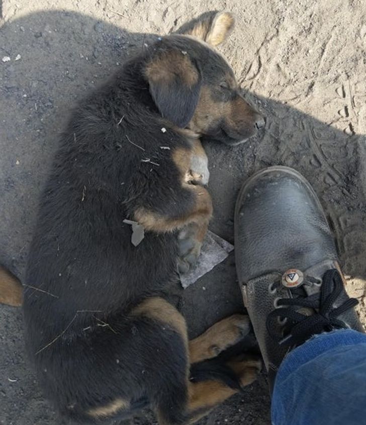 cd05265993977f1d60c7d0995a