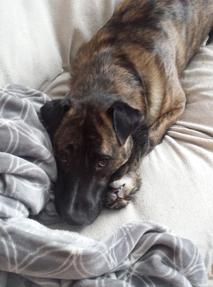 cd08c454098fcf5a0fdc60e5e7