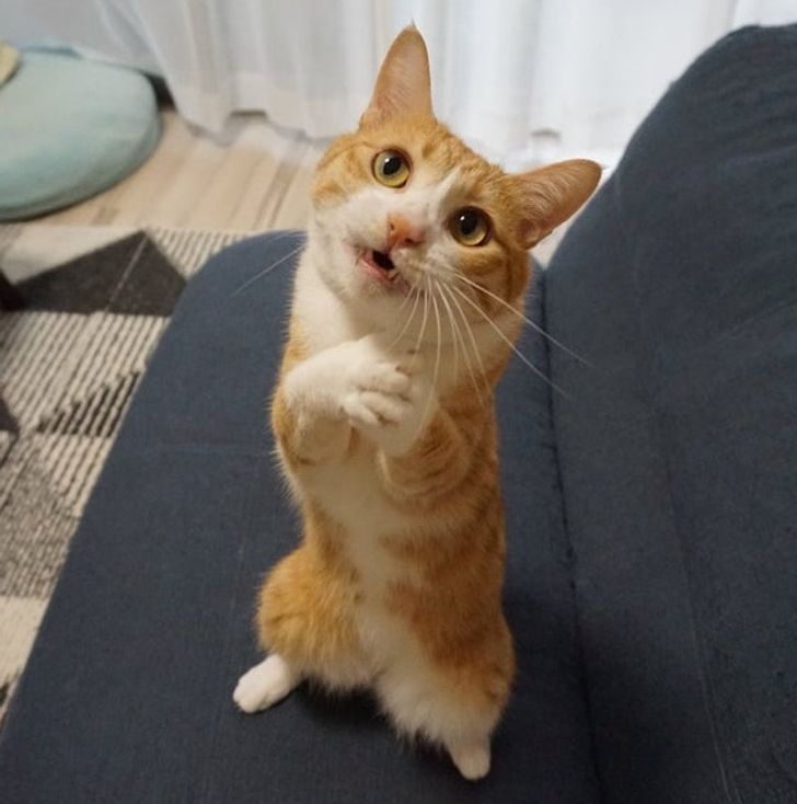 cd0b8c5c2b80e3135a6e83153f