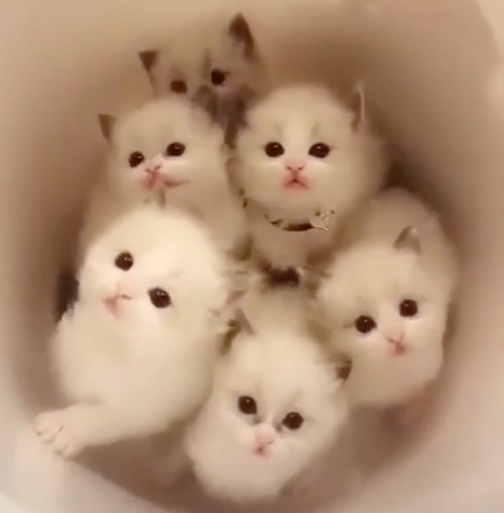 cd0bea5278abd45b2ece28302f