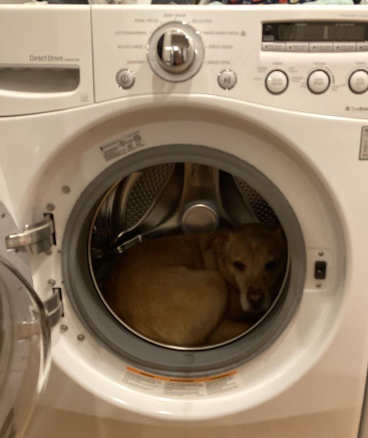 cd0fe153a5b0ad40e78b0504f7