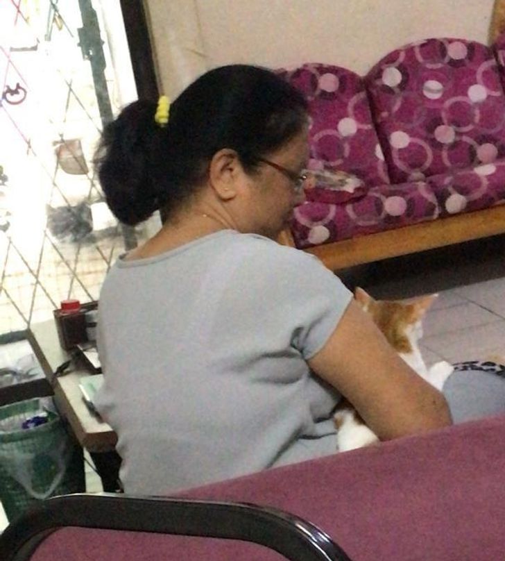 cd133e5c438035c305672be354