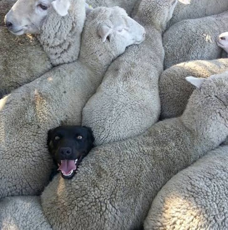 cd2a225e6a9b5a700d0fa6c1d9