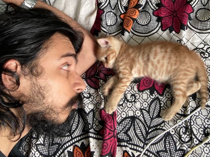 cd2bb25644aae2f852bcfee719