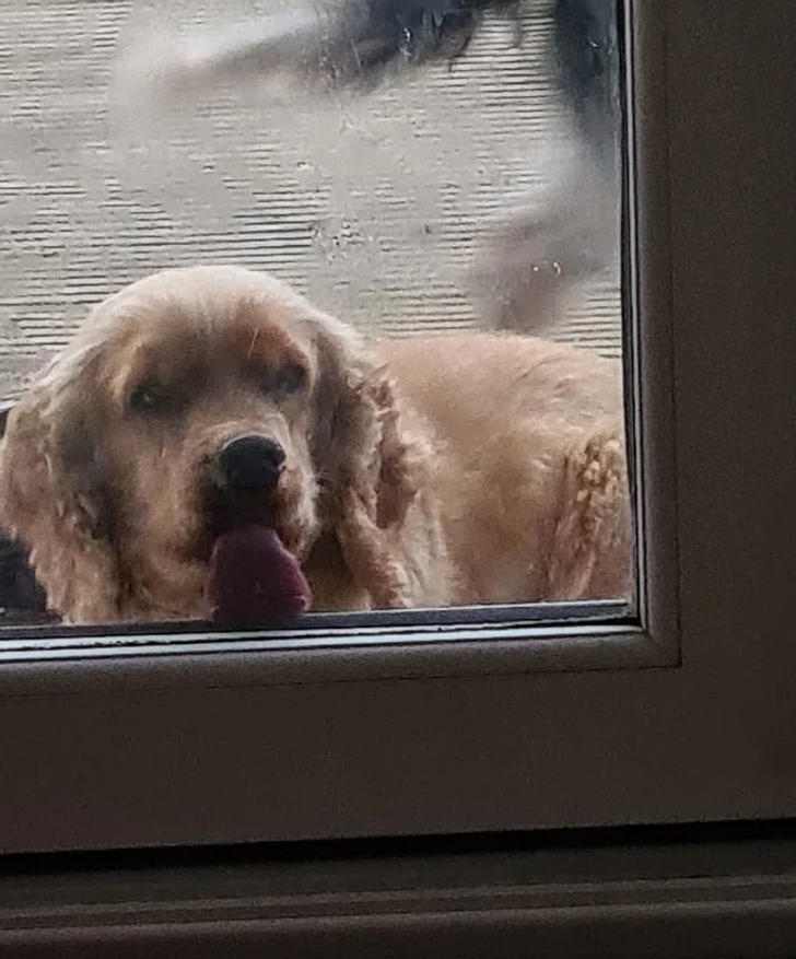 cd2fec57d0a276b28a18e25f4d