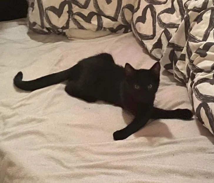 cd393858cfbafc151ba1c89a67