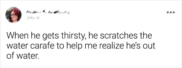 cd3bee57649d78da32c9312c46