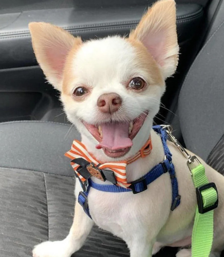 cd4e6353bda374f3706ddad3d7 cd4e6353bda374f3706ddad3d7