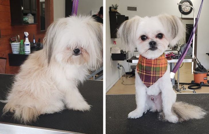 cd502e5fa3823e5302183959ae