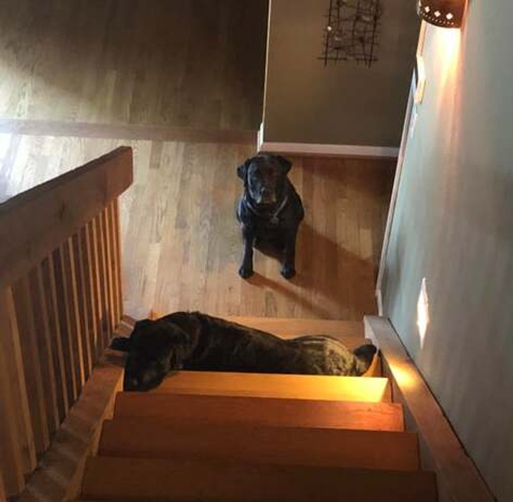 cd513e557d96150f42b5fe0bca cd513e557d96150f42b5fe0bca