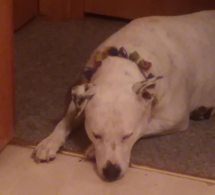 cd520a5406aca60aad170dfc13