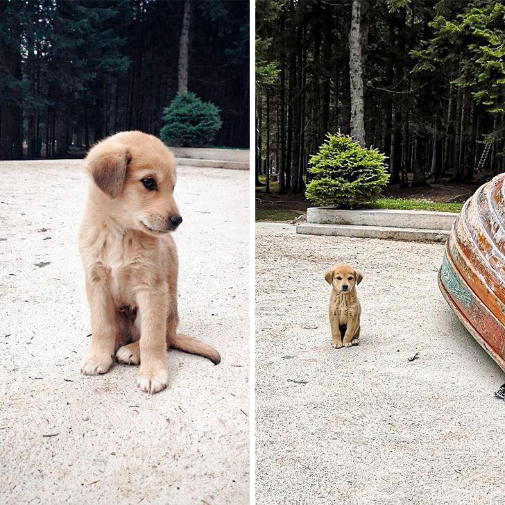 cd53b05884a1e74be48de65797