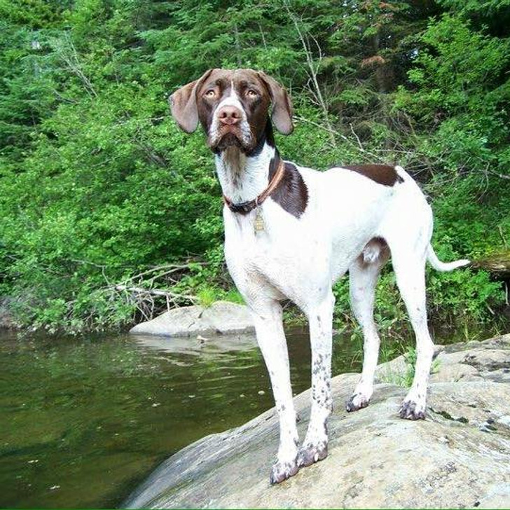 cd59d551c68374af8420ae5423