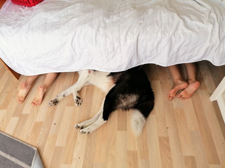 cd5b59510086af7430e8fbf883