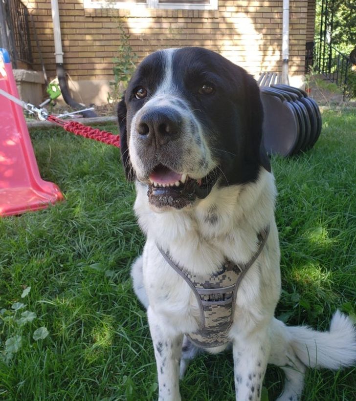 cd5c425c108e20a36bb12b9e94