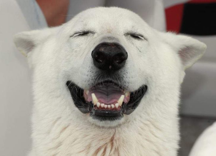 cd65ac5aa49b20d25b4eab355d