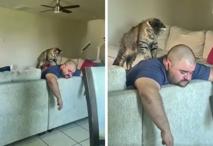 cd6ebd5e39b6a425b029445180 cd6ebd5e39b6a425b029445180