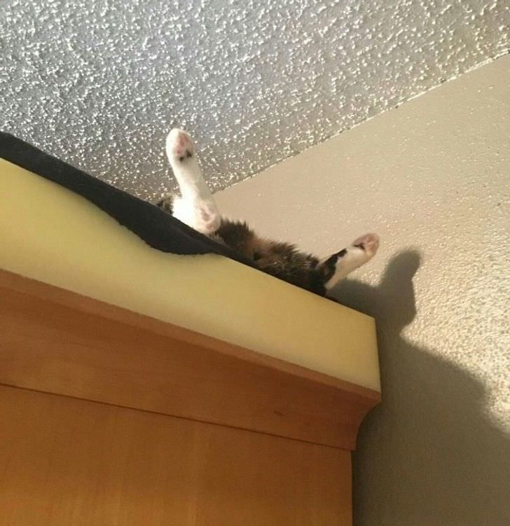 cd6f935ac2be64a02cf1fba54c