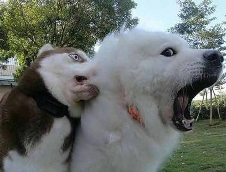 cd7345524483764fdb3d85a32d