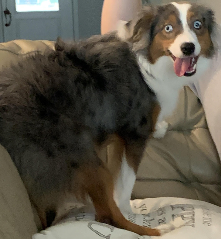 cd78bd54fea2dce5835c09732a cd78bd54fea2dce5835c09732a