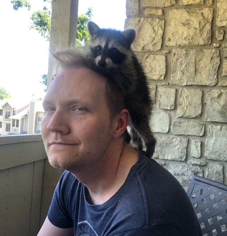 cd79f55399921f265b2746c772